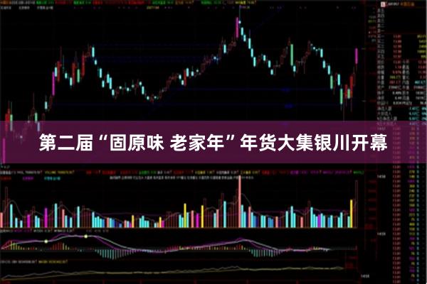 第二届“固原味 老家年”年货大集银川开幕